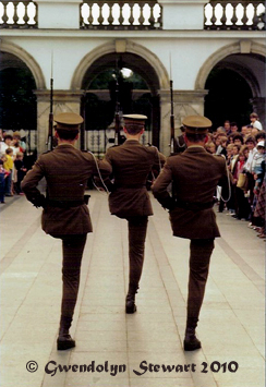 Polish 
Soldiers Parading at the Tomb of the Unknown Soldier, Warsaw, Poland, Photographed by Gwendolyn 
Stewart, c. 2011; All Rights Reserved